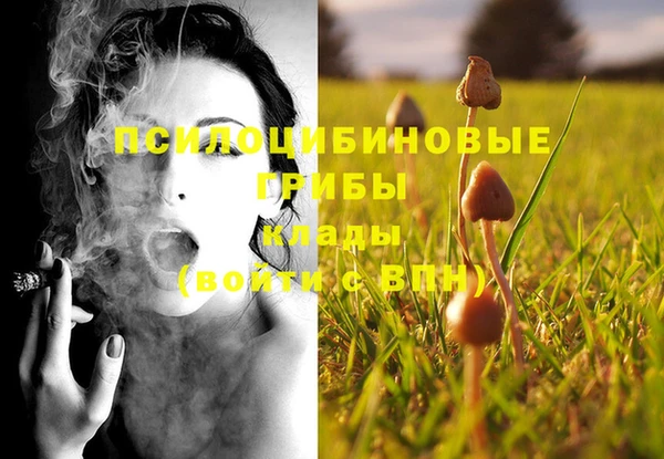 дурь Абинск