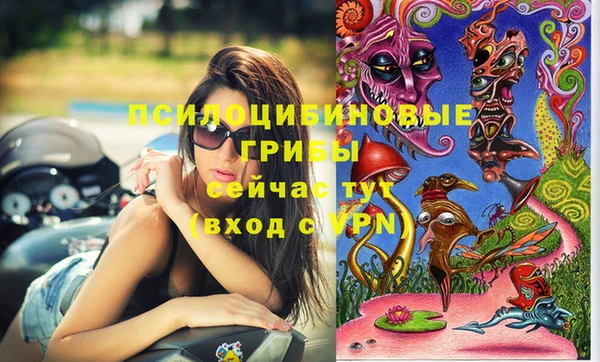 прущая мука Абаза
